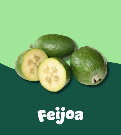Feijoa: The Green Guardian