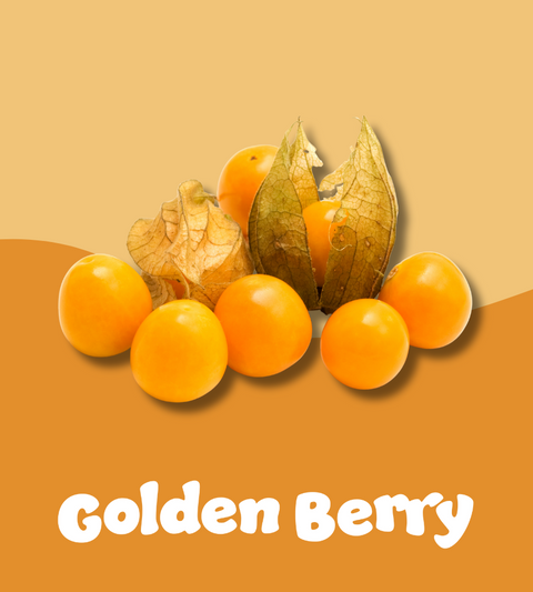 Golden Berry: The Bold Adventurer