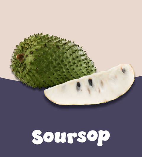 Soursop: The Smooth Dreamer
