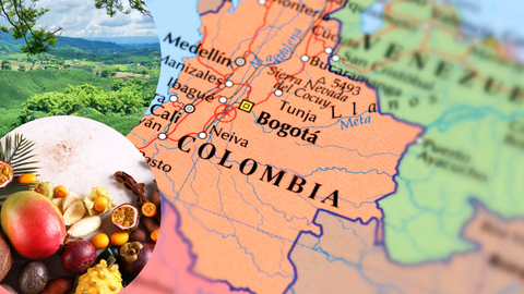 Biodiversity at Risk: The Hidden Cost of Global Food Trends