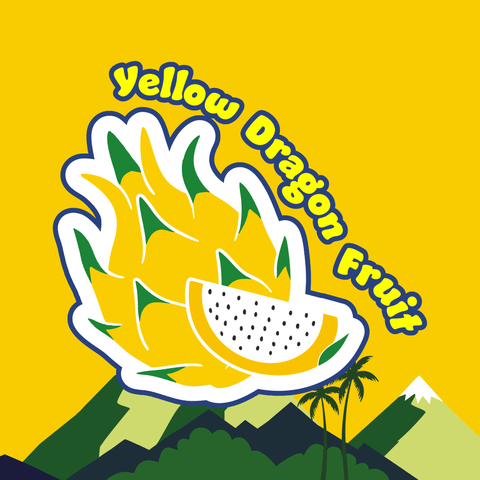 Yellow Dragon Fruit : The Honeyed Charmer