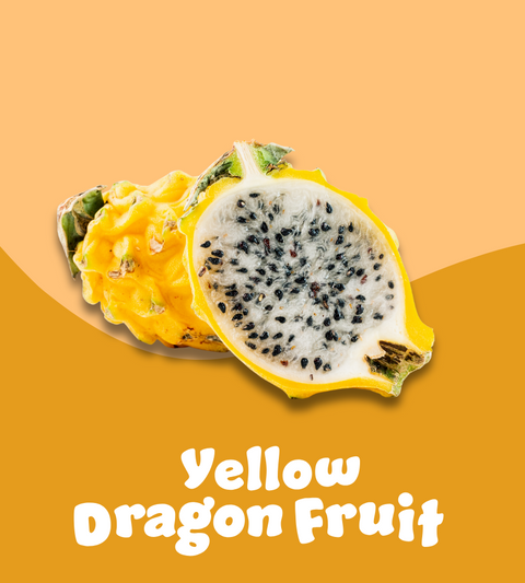 Yellow Dragon Fruit : The Honeyed Charmer